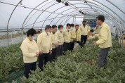구미시의회, 수박 방임재배농가·농협미곡종합처리장 방문