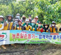 구미시여성단체협의회, 옥성면 복숭아 농가 일손돕기 봉사활동 실시